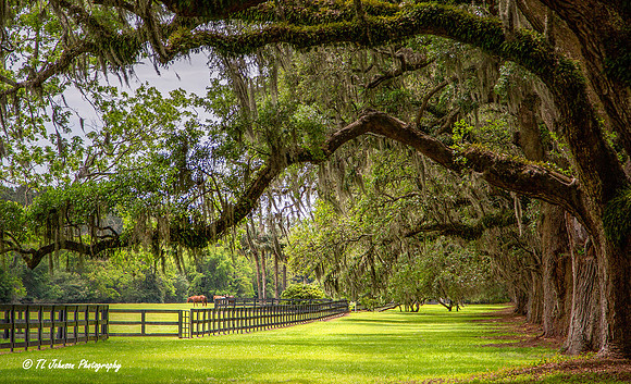 Southern Living