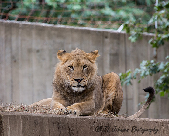 I'm Watching You