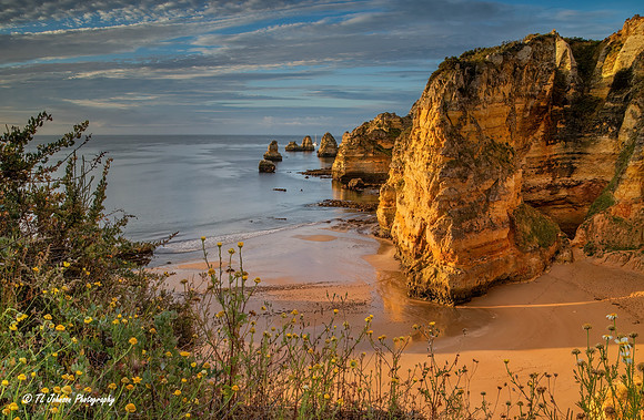 Coastal Sunrise