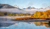On a Foggy Morning