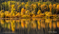 Fall Reflections