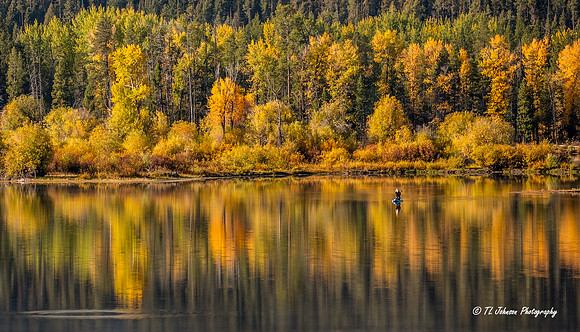 Fall Reflections