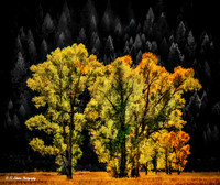 Painterly Fall Scenery
