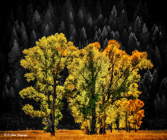Painterly Fall Scenery