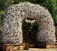 Jackson Hole (Cell Phone)