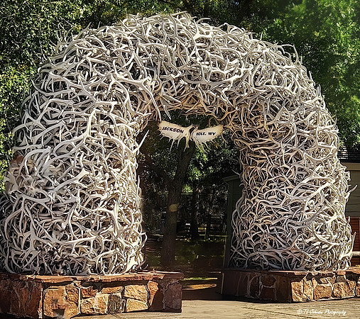 Jackson Hole (Cell Phone)