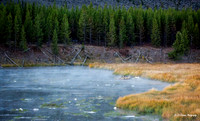 Hydrothermal Scene in Yellowstone