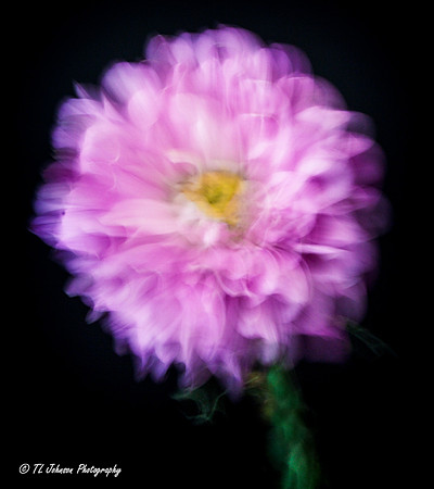 Abstract Bloom