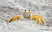 Beady Eyes