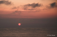 Corolla Sunrise