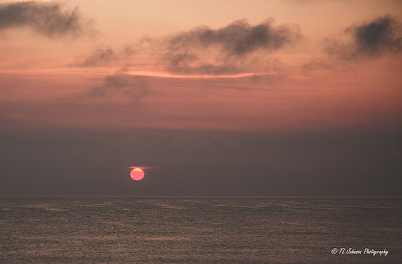 Corolla Sunrise