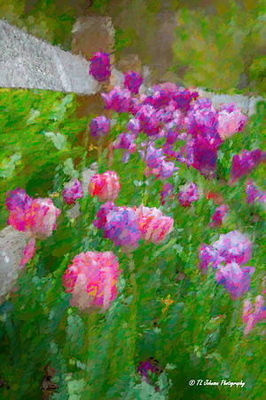 Springtime In the Garden