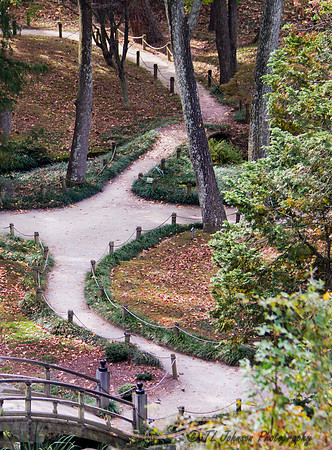 A Path Thru Maymont