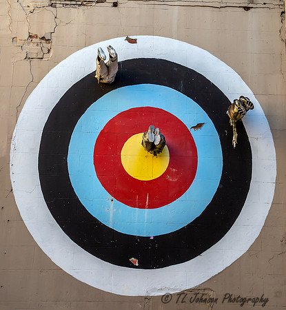 Human Target - Street Art