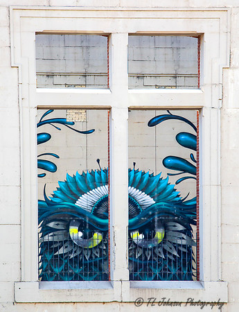 Looking Thru the Window - Street Art