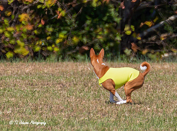TLJohnsonPhotography_4R7B5299a