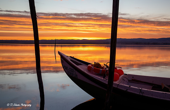 Ria de Aveiro Boat