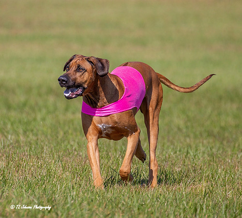 TLJohnsonPhotography_4R7B5348a