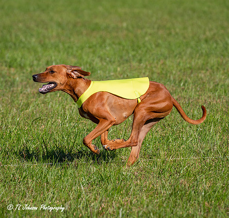 TLJohnsonPhotography_4R7B4946a
