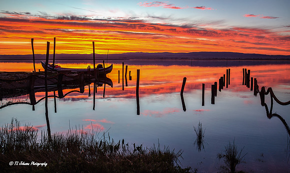 Rei de Averio Sunrise